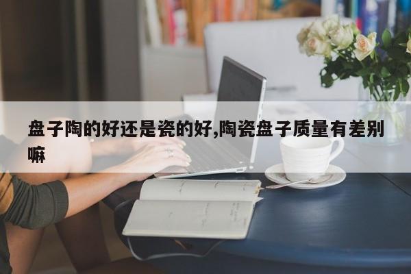 盘子陶的好还是瓷的好,陶瓷盘子质量有差别嘛