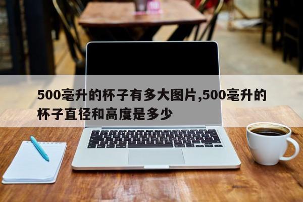 500毫升的杯子有多大图片,500毫升的杯子直径和高度是多少